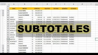 COMO HACER SUBTOTALES EN EXCEL [upl. by Chelsey]