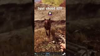 Why Didnt I Just Shoot it survivalgame gamingfails subsistence [upl. by Leverett]