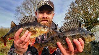 PERCH Fishing Using Worms [upl. by Hugibert]