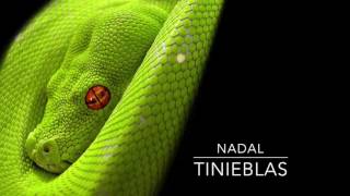 NADAL  TINIEBLAS [upl. by Anoyet]