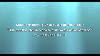 La scelta della vasca e il posizionamento Guida per allestire un acquario di acqua dolce [upl. by Waynant855]