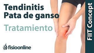 Tratamiento de la tendinitis de la pata de ganso [upl. by Charlotta]