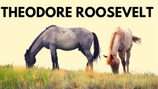 The Best of Theodore Roosevelt National Park 17 things to do  Wild Horses amp Medora North Dakota [upl. by Brendis]