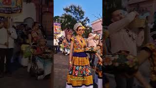 Paseo de Estandartes de los Pueblos Istmeños 🎶🌺🎉CiudadDeOaxaca [upl. by Karine]