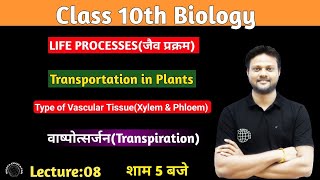 Transportation in Plants  Xylem and Phloem  Class 10 Biology  Transpiration  By Arun sir [upl. by Siuqramed445]