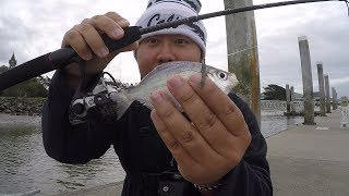 ULTRA LIGHT Ulgy Stik GX2 Rod MICROFISHING For Saltwater Fishes [upl. by Amor514]