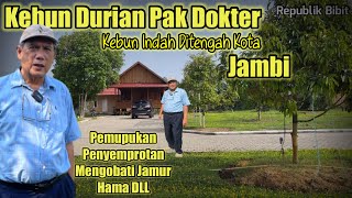 Kebun Durian Dr Riadi Ali JambiUsia 22Bulan Sudah Sebesar iniBegini Cara Rawatnya… [upl. by Nilekcaj]