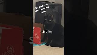 Sabrina to Abrin😆 [upl. by Enylodnewg]