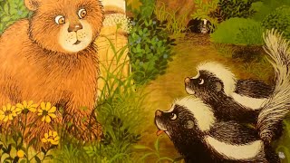 ZOTTELBÄR UND DIE STINKTIERE  SCHÖNE KINDERGESCHICHTE MIT MUSIK  GUTE NACHTVORLESEN WaldTiere [upl. by Nazler]