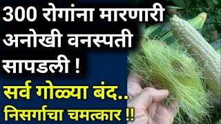 हि वस्तु एकदा खाल्ली की सर्व रिपोर्ट नॉर्मल झाले best healthy foodin marathihabbitsआरोग्य [upl. by Hinman]