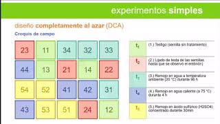 Características y aleatorización diseño completamente al azar [upl. by Wichman]