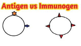 Antigen vs immunogendifference between antigen and immunogenantigenimmunogen [upl. by Oileduab727]