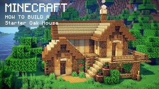 Minecraft How To Build a Starter Oak House [upl. by Jehiah826]