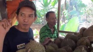 Budidaya Durian Bawor dan Monthong di Kemranjen Banyumas [upl. by Anig]