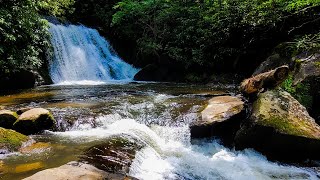 Hiking to Yellow Creek Falls near Robbinsville NC [upl. by Francisco]