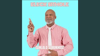 Isihlalo Sobukhosi [upl. by Fredi632]