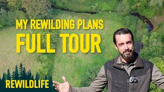 My plans to Rewild an old Irish farm  FULL TOUR [upl. by Enilarac]