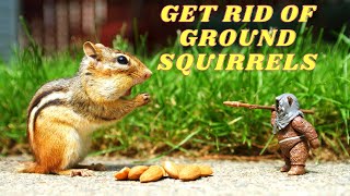 HOW TO GET RID OF GROUND SQUIRRELS PEST REMOVAL GUIDE [upl. by Chipman923]