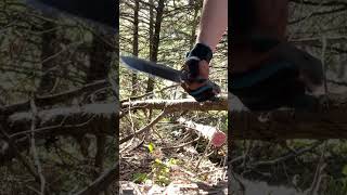 More Chopping  Work Tuff Gear Mt Lion chopper chopping shorts bushcraft blade [upl. by Oisorbma]