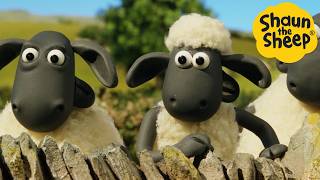 Shaun the Sheep 🐑 Panic at the farm  Cartoons for Kids 🐑 Full Episodes Compilation 1 hour [upl. by Sadnalor609]