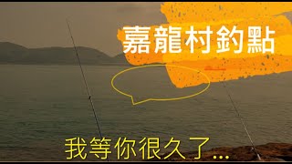 香港傳說釣點【嘉龍村】果然有怪獸 投釣 [upl. by Aitnahs]