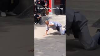 Shaolin monks performance kungfu kungfustyle shortsvideo kungfufighting martial karate action [upl. by Einna451]