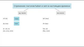 Спряжение глаголов haben и sein в настоящем времени в немецком языке [upl. by Shanna804]