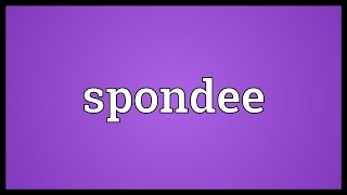 Spondee Meaning [upl. by Halac]