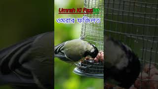 ওমরার ফজিলত ইসলামের দৃষ্টিতে ওমরার গুরুত্ব ও উপকারিতা । Umrah [upl. by Tamiko]