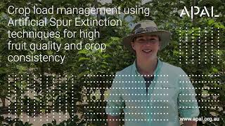 Crop load management using Artificial Spur Extinction techniques for quality and crop consistency [upl. by Karil382]