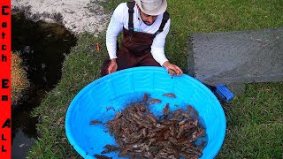 CATCHING 100s of GIANT CRAWFISH in FISH TRAP  Diy BACKYARD SWAMP POND [upl. by Allecram]