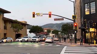 Leading Pedestrian Interval with No Right Turn Blankout Sign [upl. by Asirb]