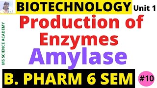 AmylaseProduction of EnzymesBiotechnologyUnit 1 B Pharmacy 6 SemLect10 [upl. by Stormi]