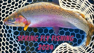 Spring Fly Fishing Montana For Cutthroat Trout and Arctic Grayling [upl. by Niamrahc]