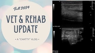 Vet and Rehab Update  Fall 2024 Vlog amp Chat \\ [upl. by Ani]