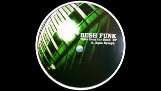 Bush Funk  Boogie Bus [upl. by Kcarb]