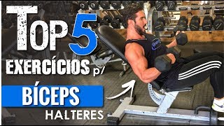 TOP 5  Exercícios para BICEPS COM HALTERES [upl. by Tullus]