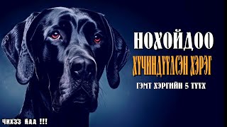 Нохойдоо Хүчиндүүлсэн Хэрэг  Гэмт хэргийн 5 түүх [upl. by Grodin]