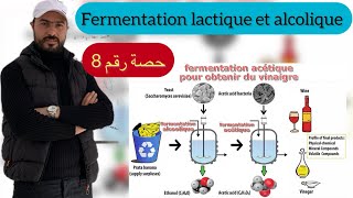 La Fermentation lactique et alcolique 2BAC SVT ampPC [upl. by Fulcher]