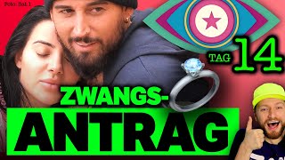 CRINGEAntrag 💍 SAT1 DRÄNGT Mike zur VERLOBUNG 😳 Promi Big Brother 2024 Tag 14 [upl. by Safier]