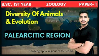 Palearctic zoogeographical region  Zoogeographical regions of the world  BSc 1st Year [upl. by Annwahs566]