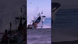 The moment a fishing boat was hit by a dolphin while hunting orcas 🐬🦭🚤🛥️ giantcreature [upl. by Agnot]