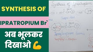 Synthesis Of Ipratropium Bromide Medicinal Chemistry B Pharmacy 4th Semester pharmaciens [upl. by Sirotek609]