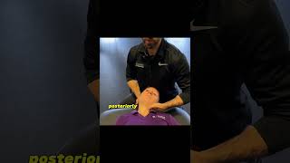 Posterior Inferior Medial Glide Cervical Radiculopathy Manual Therapy [upl. by Tiffanie690]