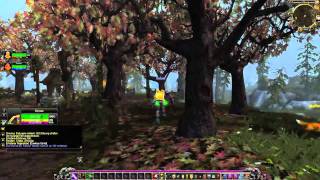 Lets Play Together  World of Warcraft  DeutschGerman  005  Auf zur Oma [upl. by Mariska966]