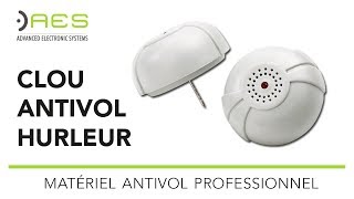 Antivol alarmé  clou hurleur  AES Protection [upl. by Gaynor]