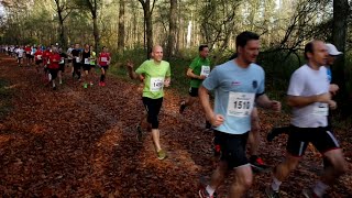 Martinslauf 2015  Halbmarathon Düsseldorf  Unterbacher See [upl. by Annaitsirhc]