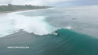 Greenbush  Mentawai Tengirri [upl. by Norbel]