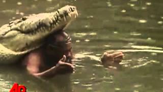 Story of Chito and Pocho  Man Saves then Befriends Crocodile [upl. by Urbani]