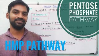 Pentose phosphate pathway  HMP Pathway Respiration  Senthilnathan [upl. by Weight256]